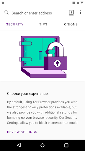 app tor browser гирда
