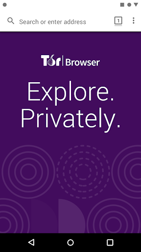 Flash tor browser hyrda download mac tor browser вход на гидру