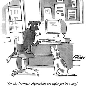 Dog Algorithm