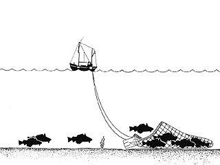 320px-Trawling_Drawing